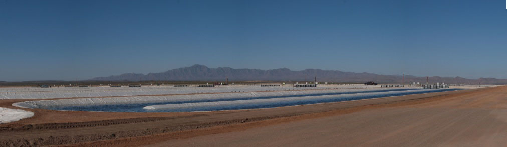 Green Crude Farm