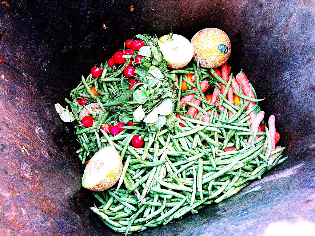 Tackling the Food Waste Crisis