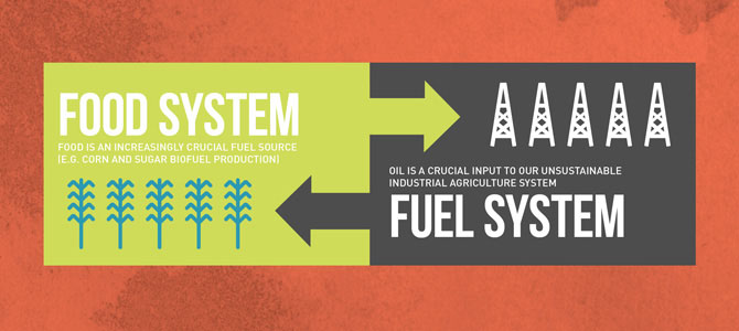 How Much Corn Should We Put in Our Fuel Tanks? [video]