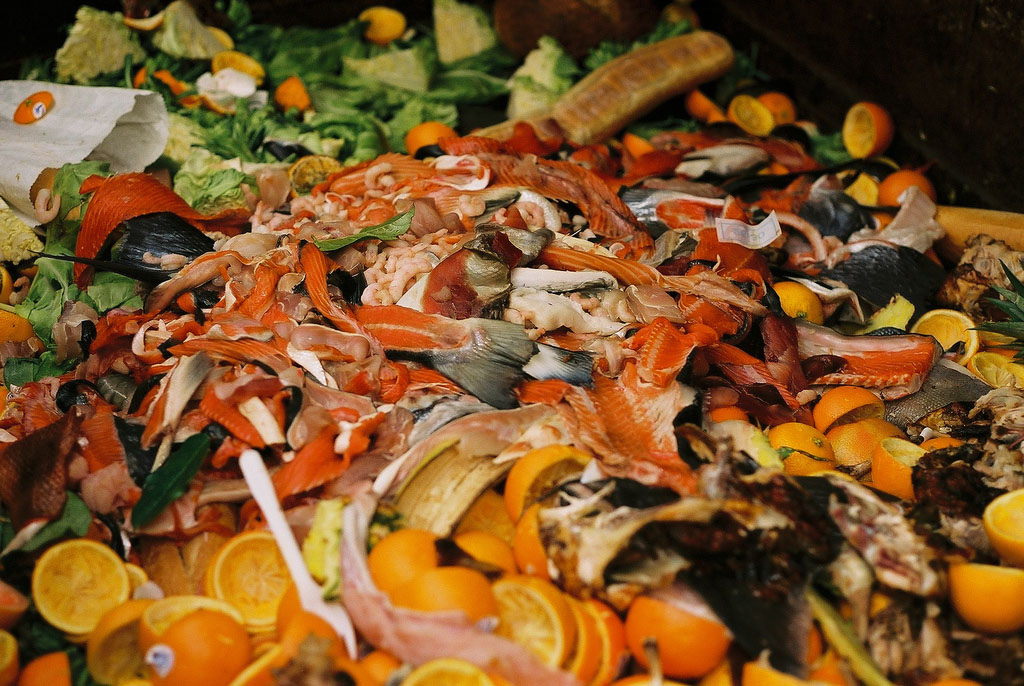 The Massachusetts Food Waste Ban