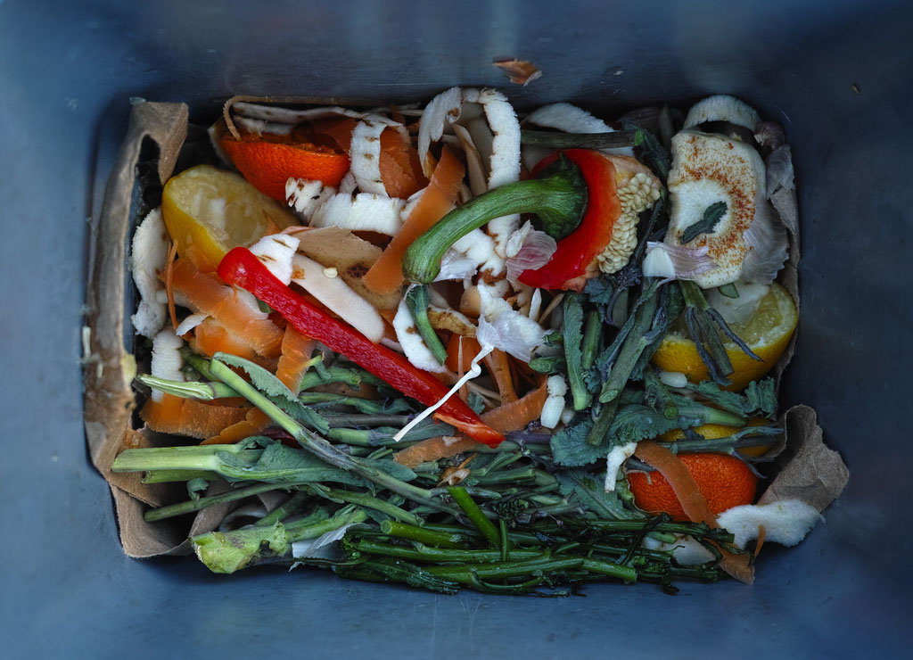 The U.S. Food Waste Challenge