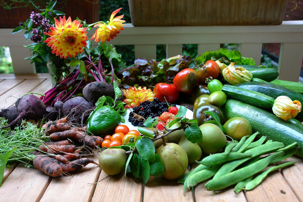 Urban Farming Goes Multi-Locational