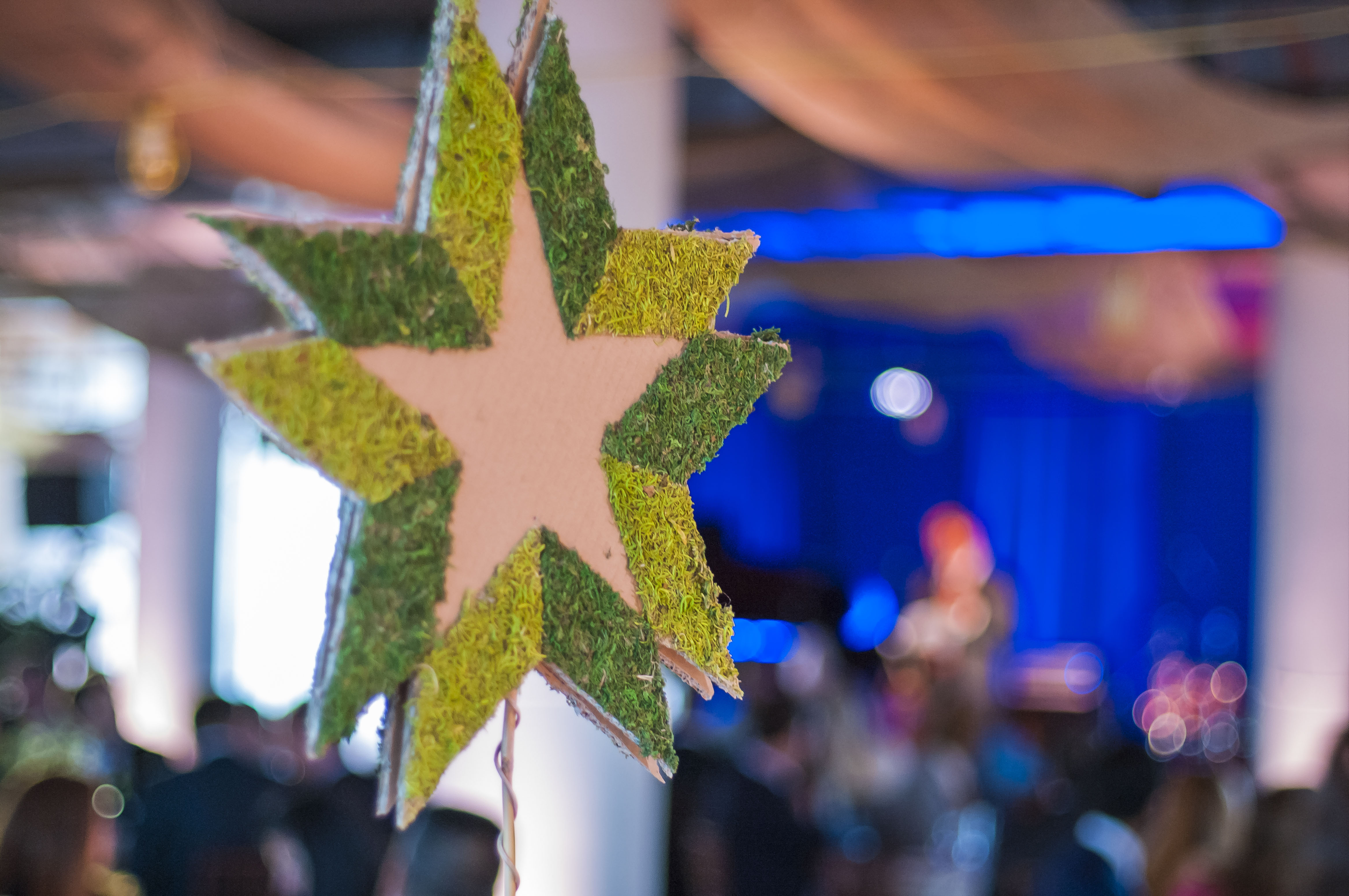 Sustainable America Logo made out of moss