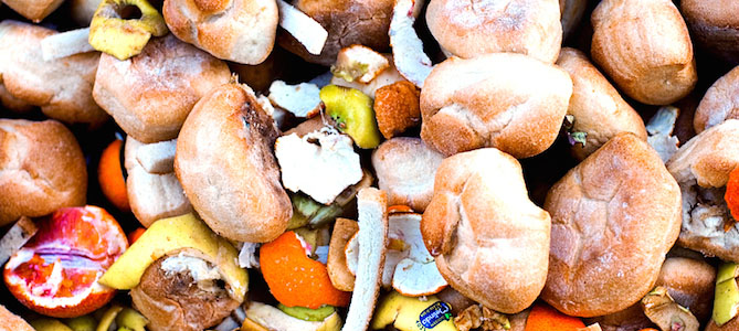 USDA and EPA Set Historic Goal to Cut U.S. Food Waste in Half