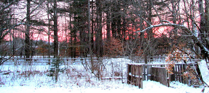 How to Compost in Winter, Indoors or Outdoors