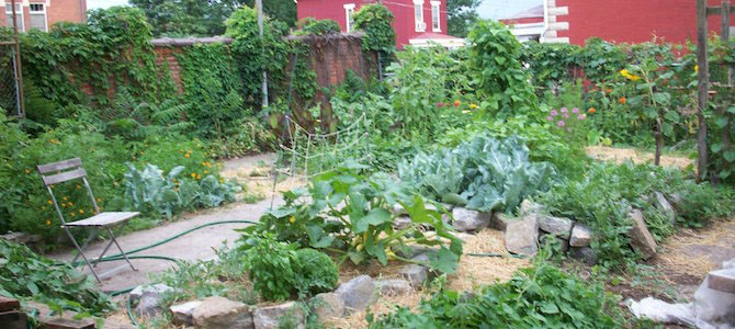 How to Start a Shared Garden