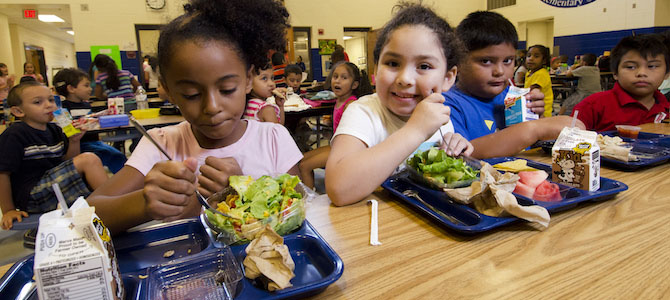 Why (and How!) Your School Should Do a Student Food Waste Audit