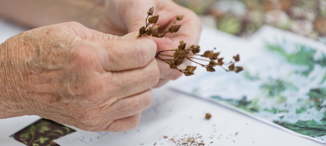 Seed Sharing in the Age of Climate Change