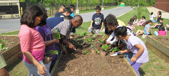 5 Ways to Green Your School