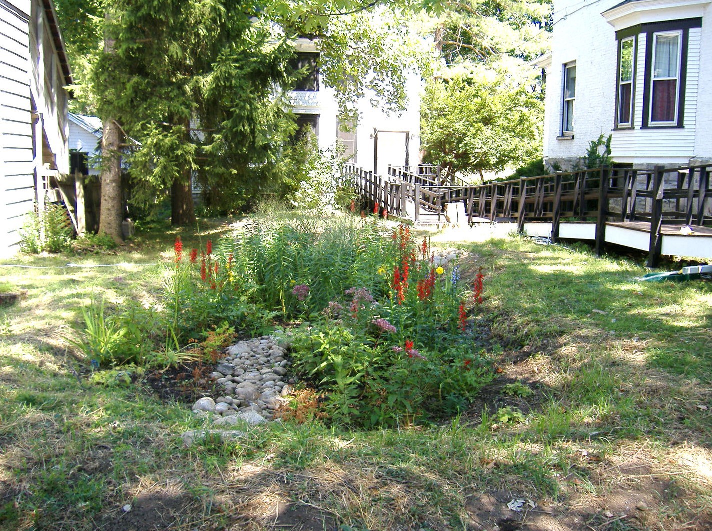 Rain Gardens at Cornell