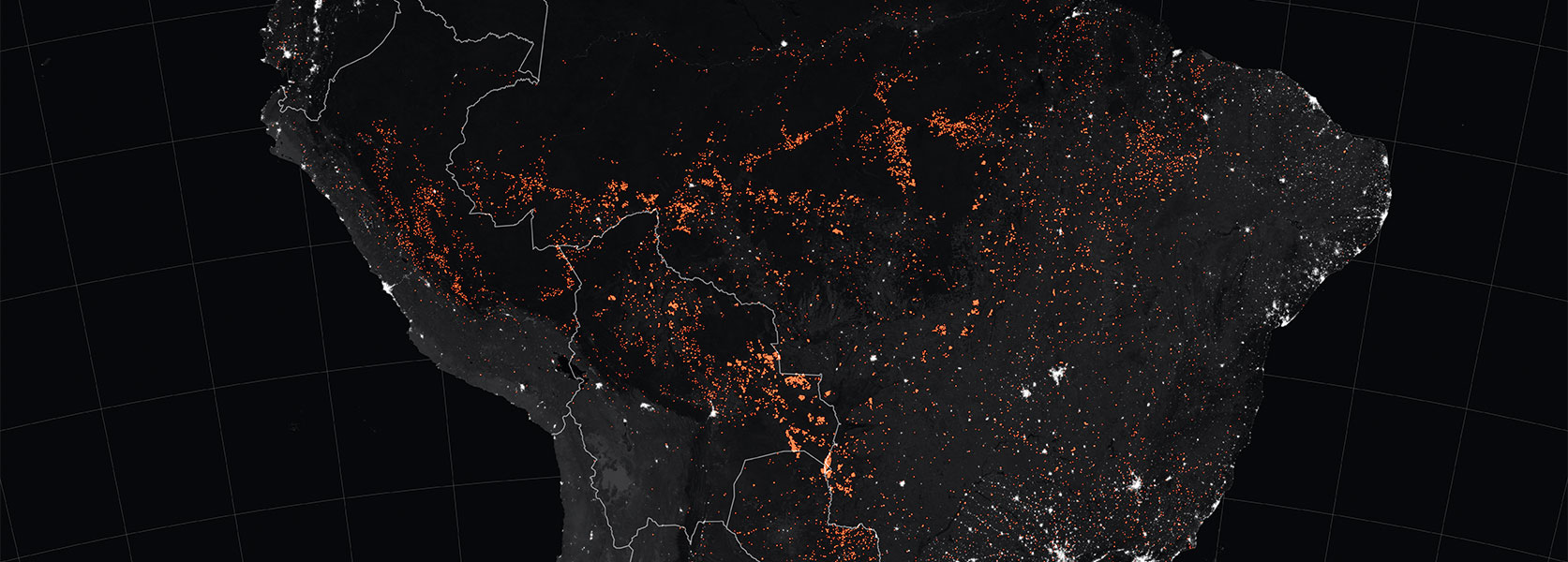 What the Amazon Rainforest Fires Say About Our Food Choices