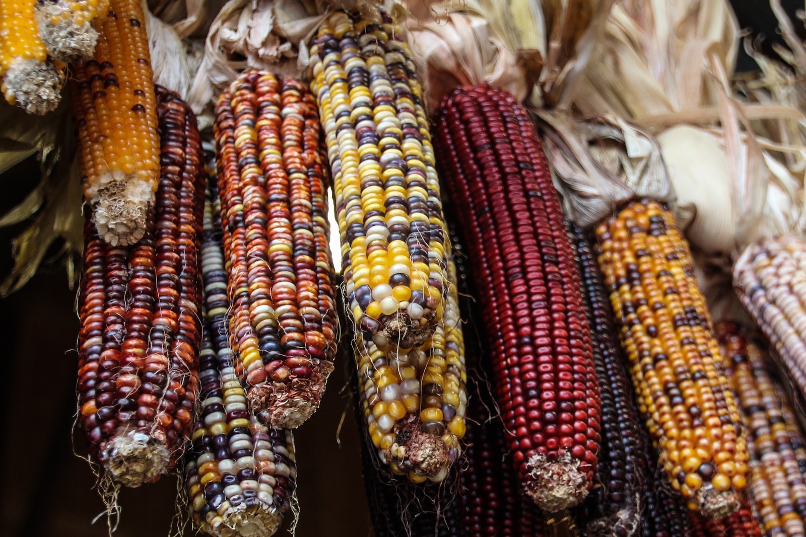 How to Honor Indigenous Foodways in your Garden and Kitchen