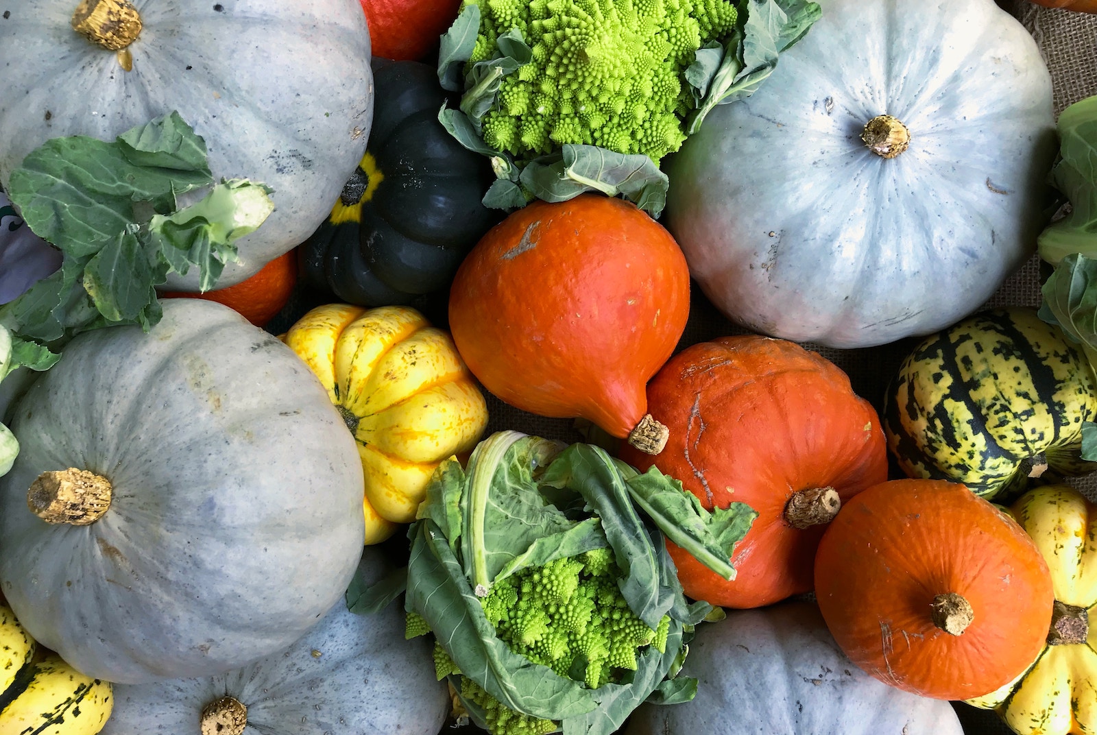 Fall-Time Farmers’ Market Finds