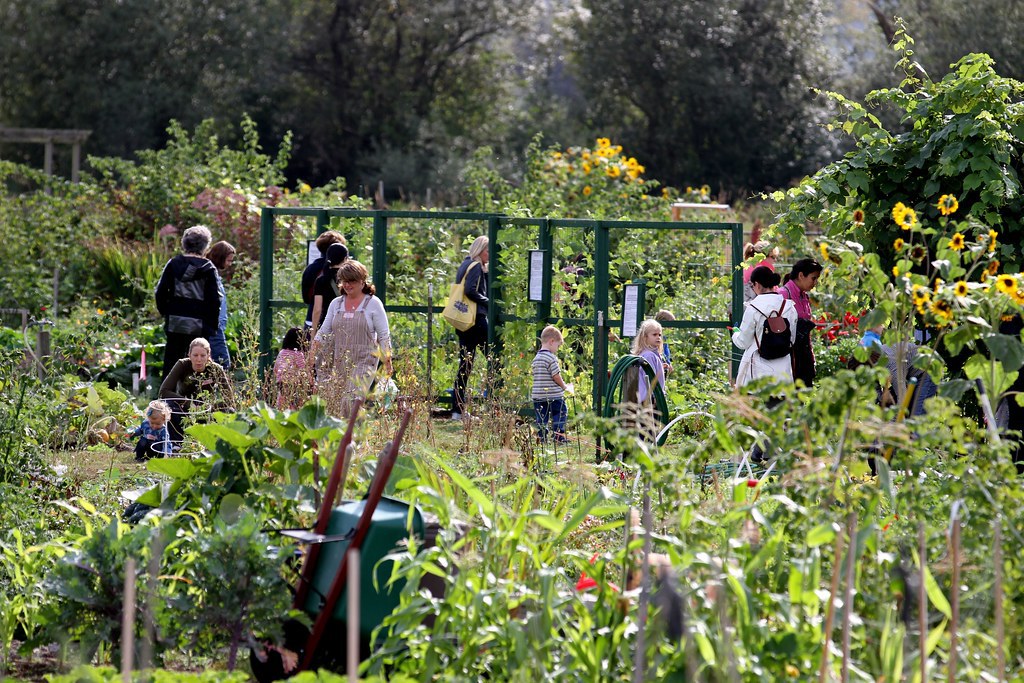 Community Gardens