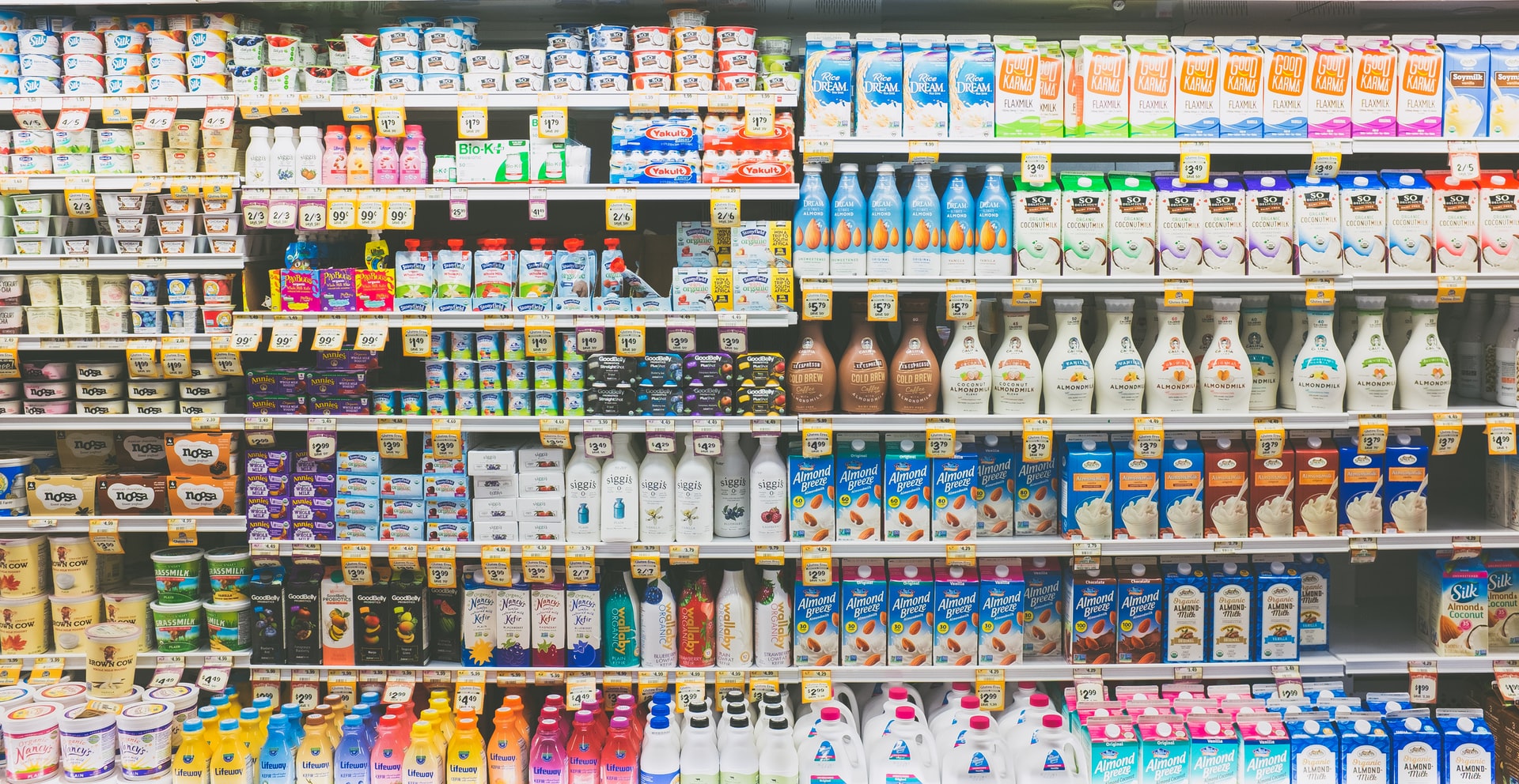 Got (Eco-Friendly) Milk? The Ultimate Guide to Dairy & Milk Substitutes