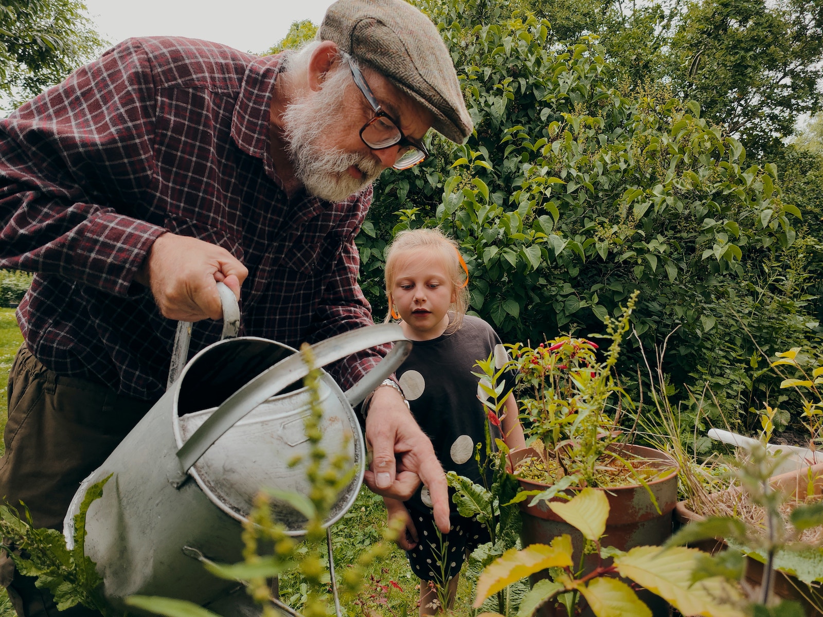 How to Get Expert Advice for your Garden from Agricultural Extension