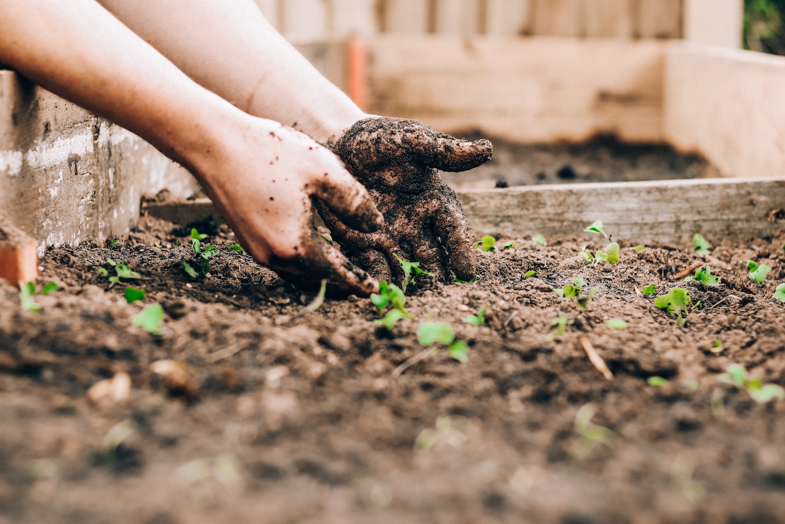 Get Gardening with Your Spring Planting Checklist